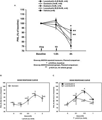 Tyrosine Kinase Inhibitors Reduce NMDA NR1 Subunit Expression, Nuclear Translocation, and Behavioral Pain Measures in Experimental Arthritis